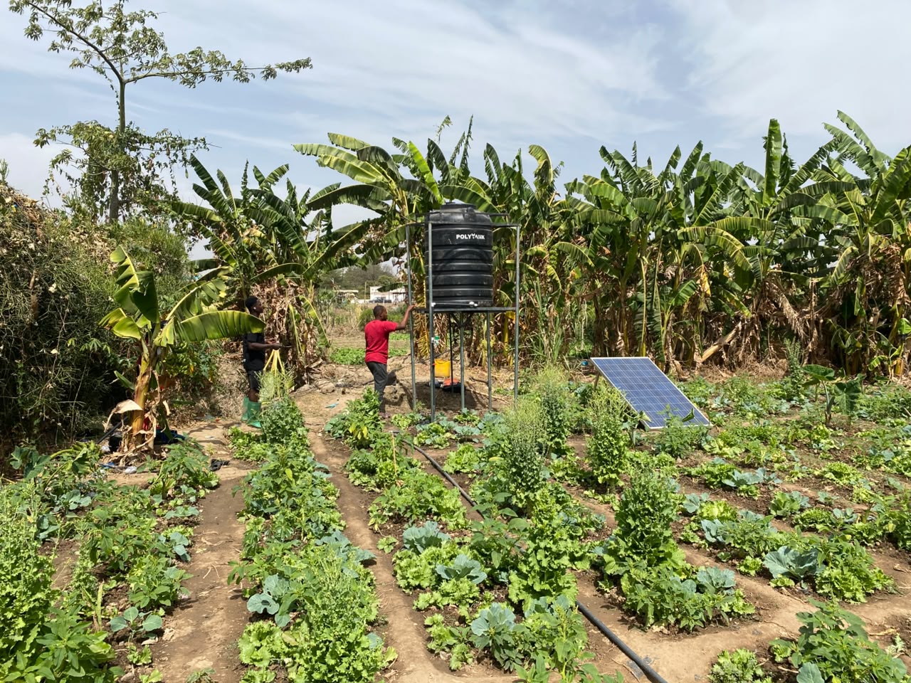 Climatepreneurship